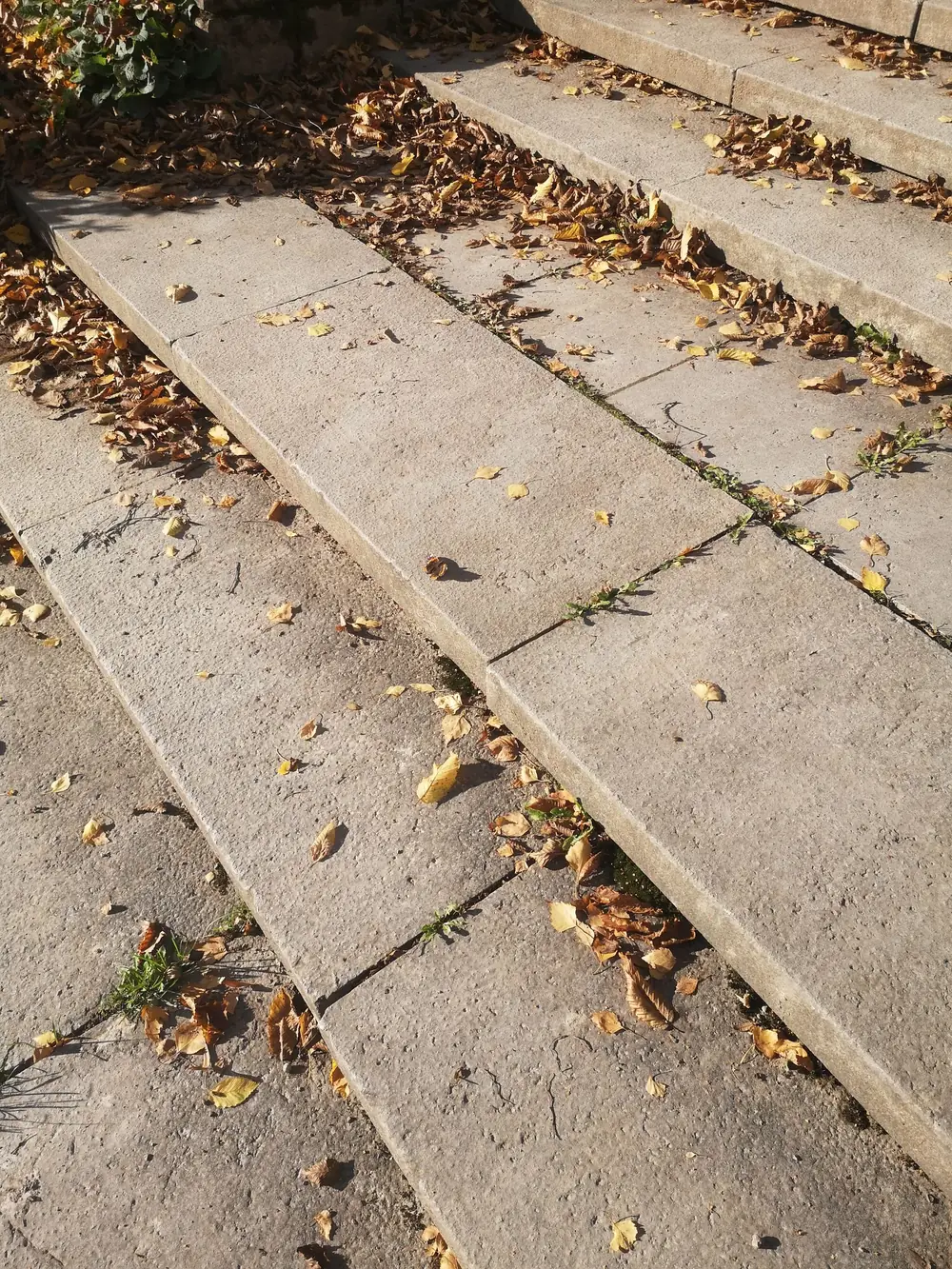 Aging outdoor steps with open joints, settled treads, and leaf litter